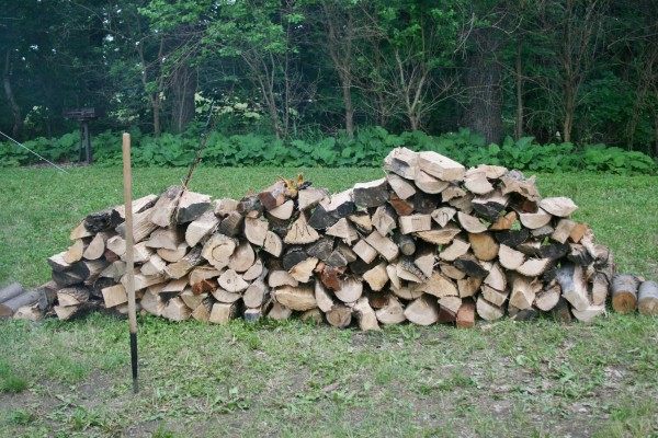 Danny's wood pile!